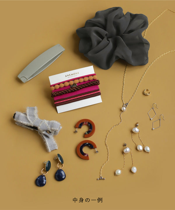 Happy Bag 2026 [Earrings]