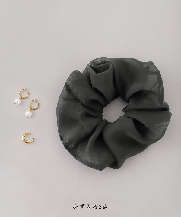 Happy Bag 2026[イヤリング]