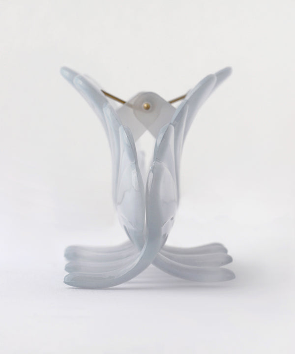 Clear Color Shell Vance