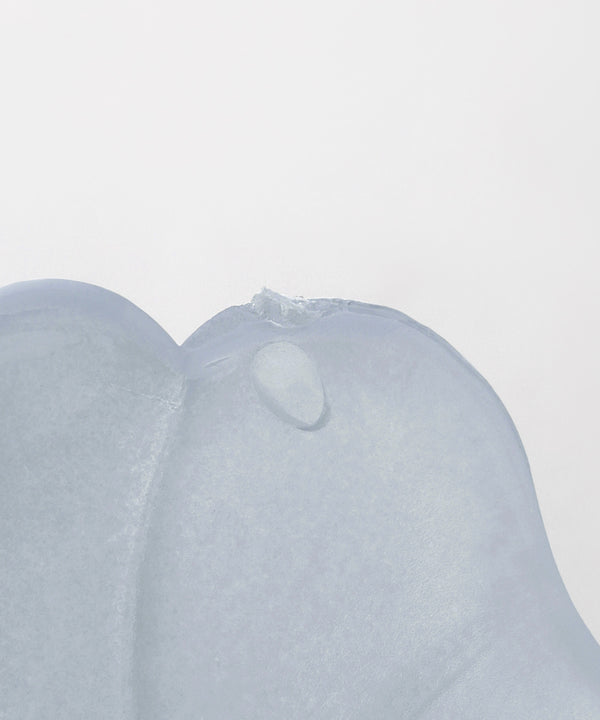 Clear Color Shell Vance