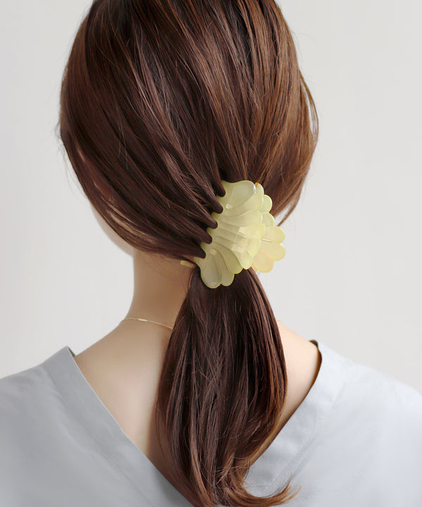 Clear Color Shell Vance