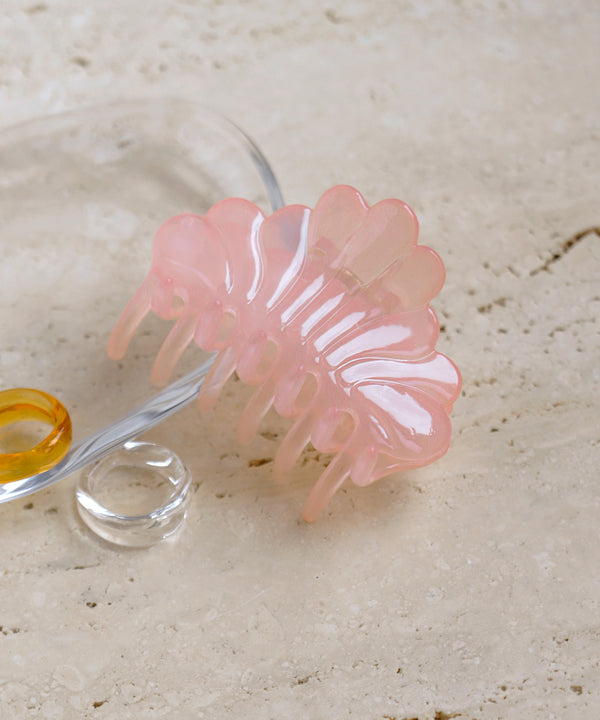 Clear Color Shell Vance