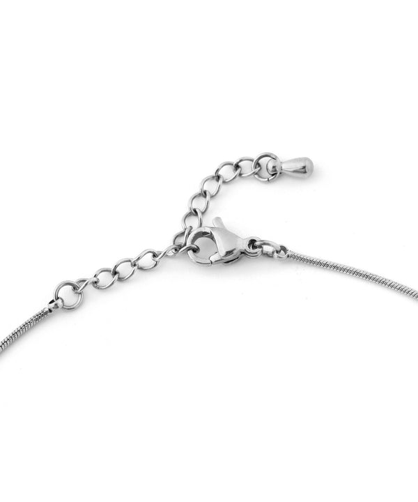 [Stainless Steel] Snake Chain Necklace