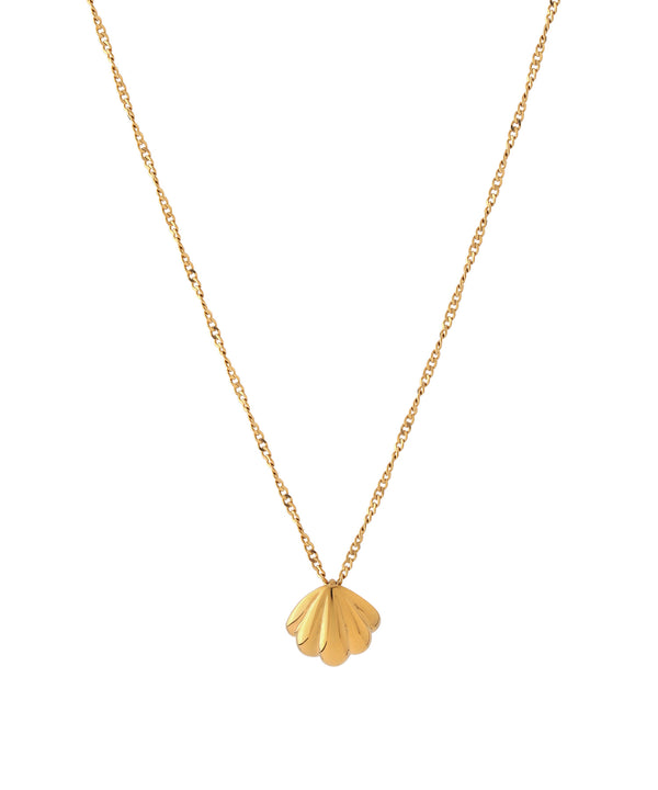 Shell motif necklace [Surgical stainless steel] [Basic]