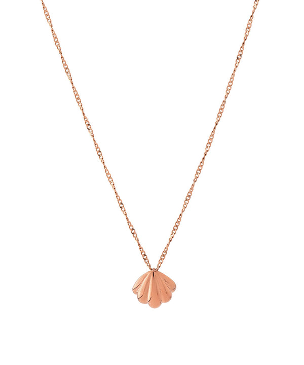Shell motif necklace [Surgical stainless steel] [Basic]