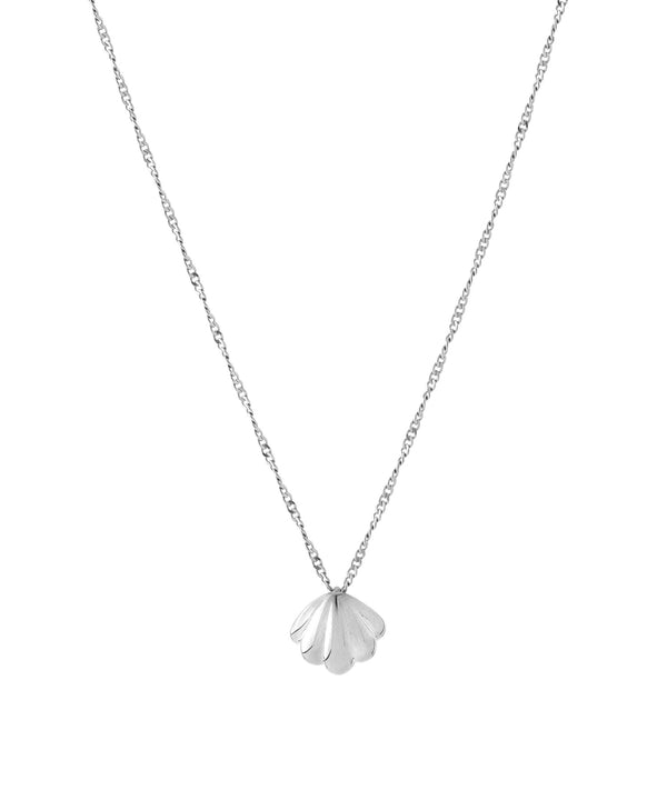 Shell motif necklace [Surgical stainless steel] [Basic]