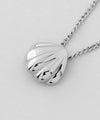 Shell motif necklace [Surgical stainless steel] [Basic]