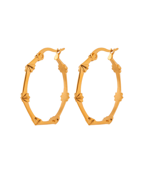 Designer Hoop Earrings [Surgical Stainless Steel] [Ownideal]