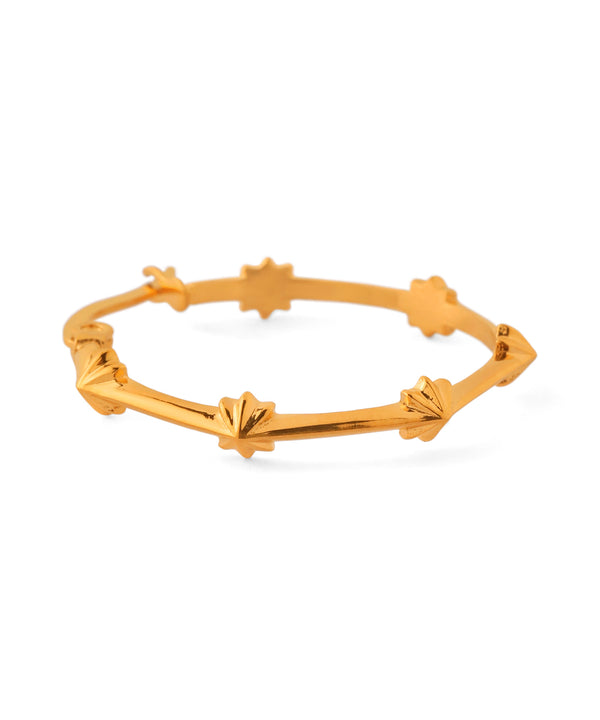 Designer Hoop Earrings [Surgical Stainless Steel] [Ownideal]