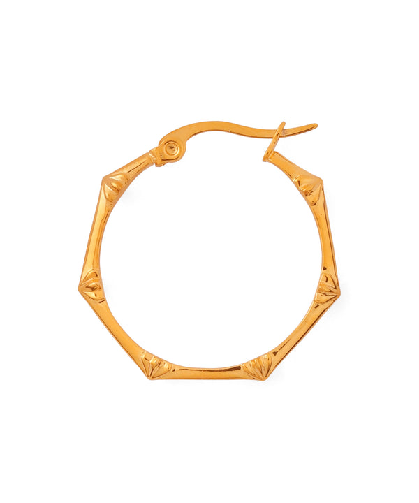 Designer Hoop Earrings [Surgical Stainless Steel] [Ownideal]