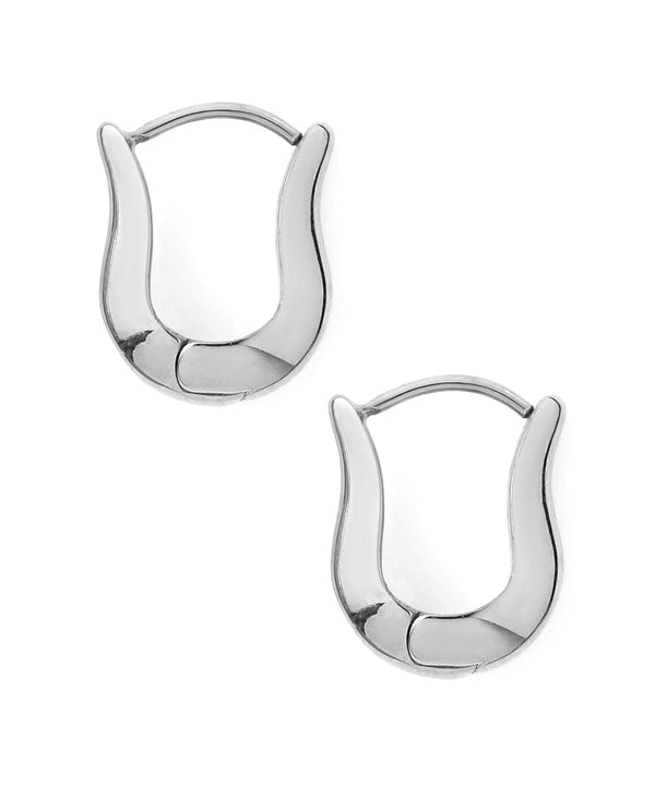 Hoop Earrings [Surgical Stainless Steel] [Basic]