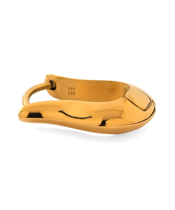 Hoop Earrings [Surgical Stainless Steel] [Basic]