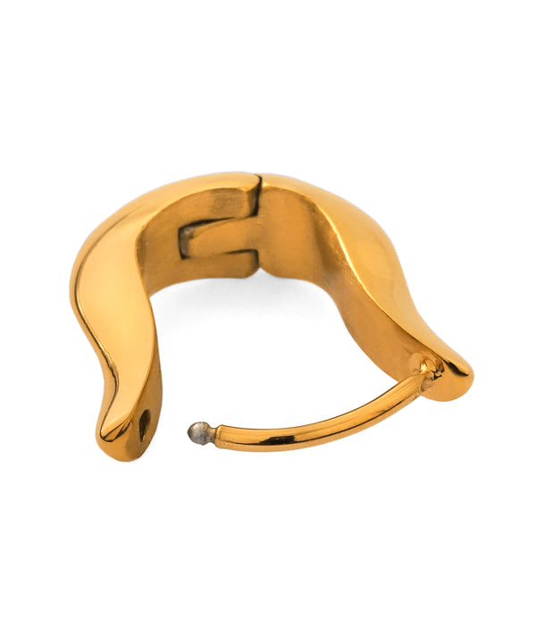 Hoop Earrings [Surgical Stainless Steel] [Basic]