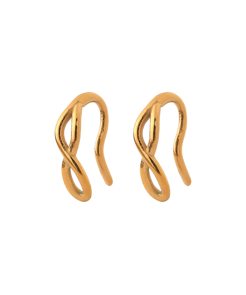 【ステンレス】デザインミニフックピアス[TESHIGOTO]