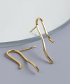 [Stainless Steel] Unique Design Earrings [TESHIGOTO]
