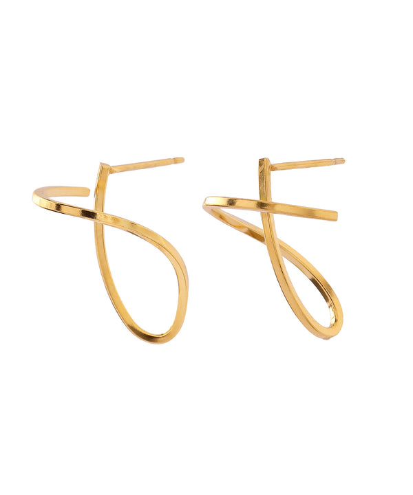 [Stainless Steel] Unique Design Earrings [TESHIGOTO]