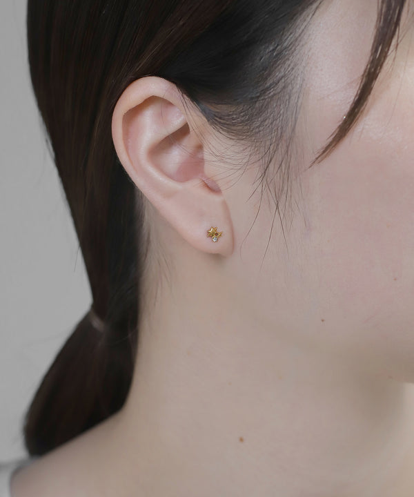 [Stainless Steel] Bijoux x Star Earrings [TESHIGOTO]