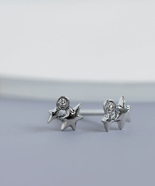 [Stainless Steel] Bijoux x Star Earrings [TESHIGOTO]