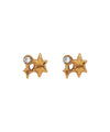 [Stainless Steel] Bijoux x Star Earrings [TESHIGOTO]