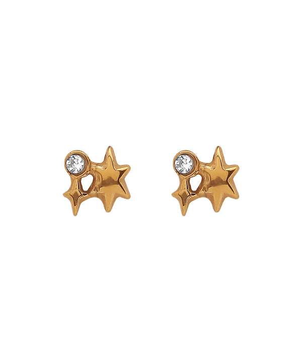 ピアス　No.4963 ANEMONE】【ステンレス】ビジュー×スターピアス[TESHIGOTO]｜アネモネ