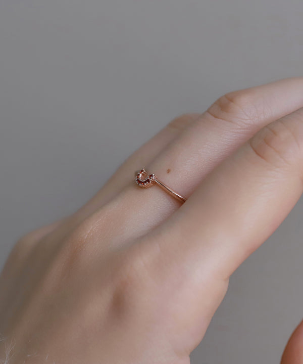 【数量限定・先行販売】【ギフトBOX・紙袋付】カラービジューホースシューリング[Sheerchic]