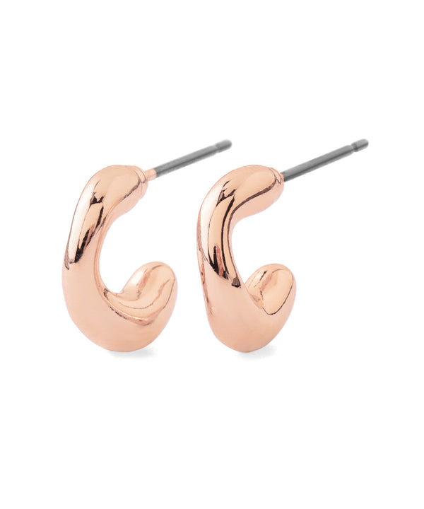 【数量限定・先行販売】【ギフトBOX・紙袋付】ニュアンスカールピアス[Sheerchic]