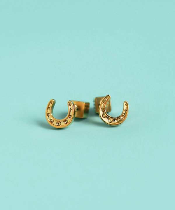 【数量限定】ホースシューピアス[Sheerchic]