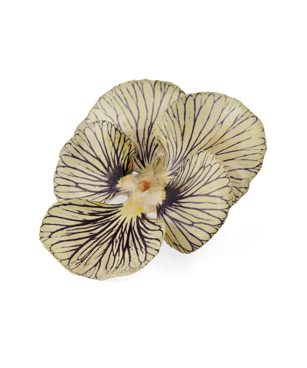 [Little Witch x mimi33] Tiger Eye Earrings (Limited Quantity)
