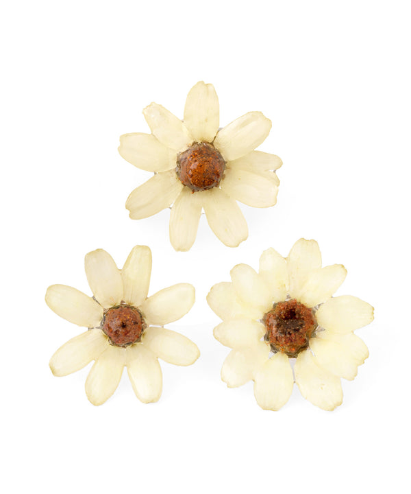 【Little Witch×mimi33】ジニアピアス《数量限定》