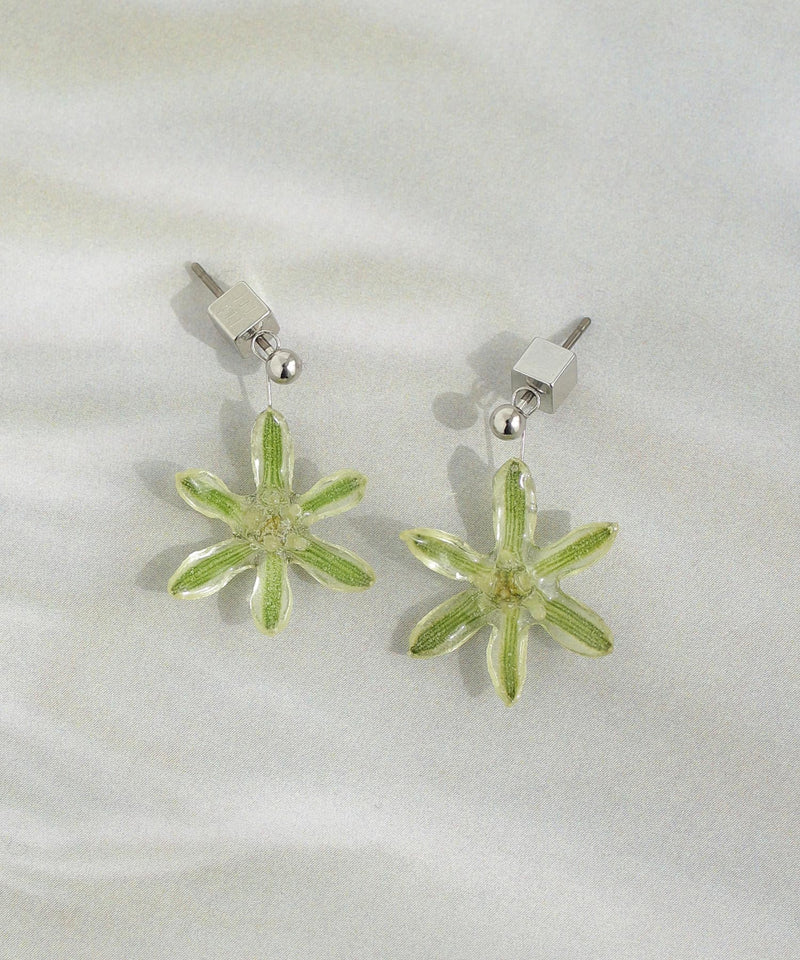 【Little Witch×mimi33】オオニソガラムピアス《数量限定》