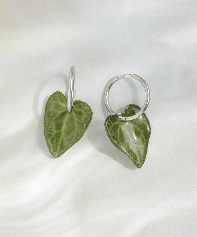 [Little Witch x mimi33] Cyclamen Leaf Earrings [Stainless Steel] *Limited Edition*