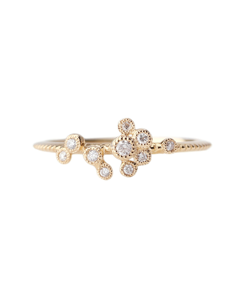 BIRTH STAR Ring [Aquarius]
