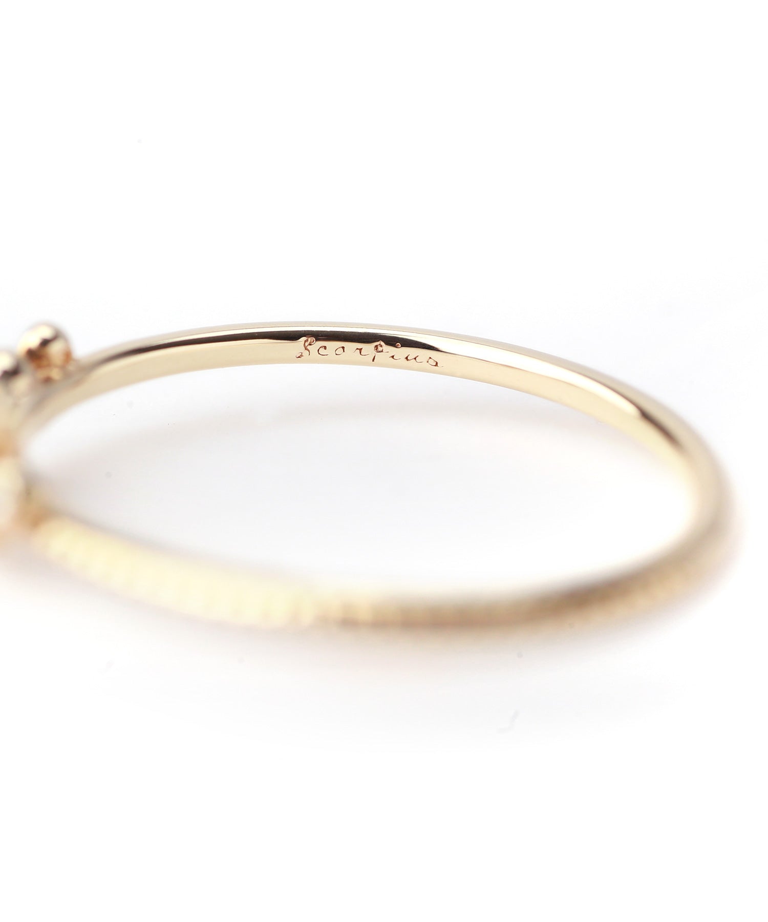 SIENA ROSE】BIRTH STAR・リング[やぎ座]｜SANPO ONLINE(サンポー