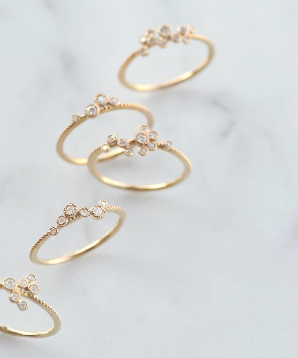 BIRTH STAR・リング[やぎ座]