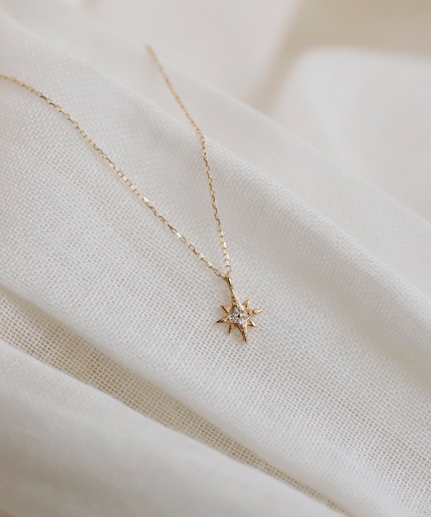 SIENA ROSE 星座ネックレス SIENA ROSE シエナロゼ ネックレス BIRTH STAR 星座 k10 大人の女性に