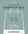 SURPRISE BAG 2026[イヤリング]