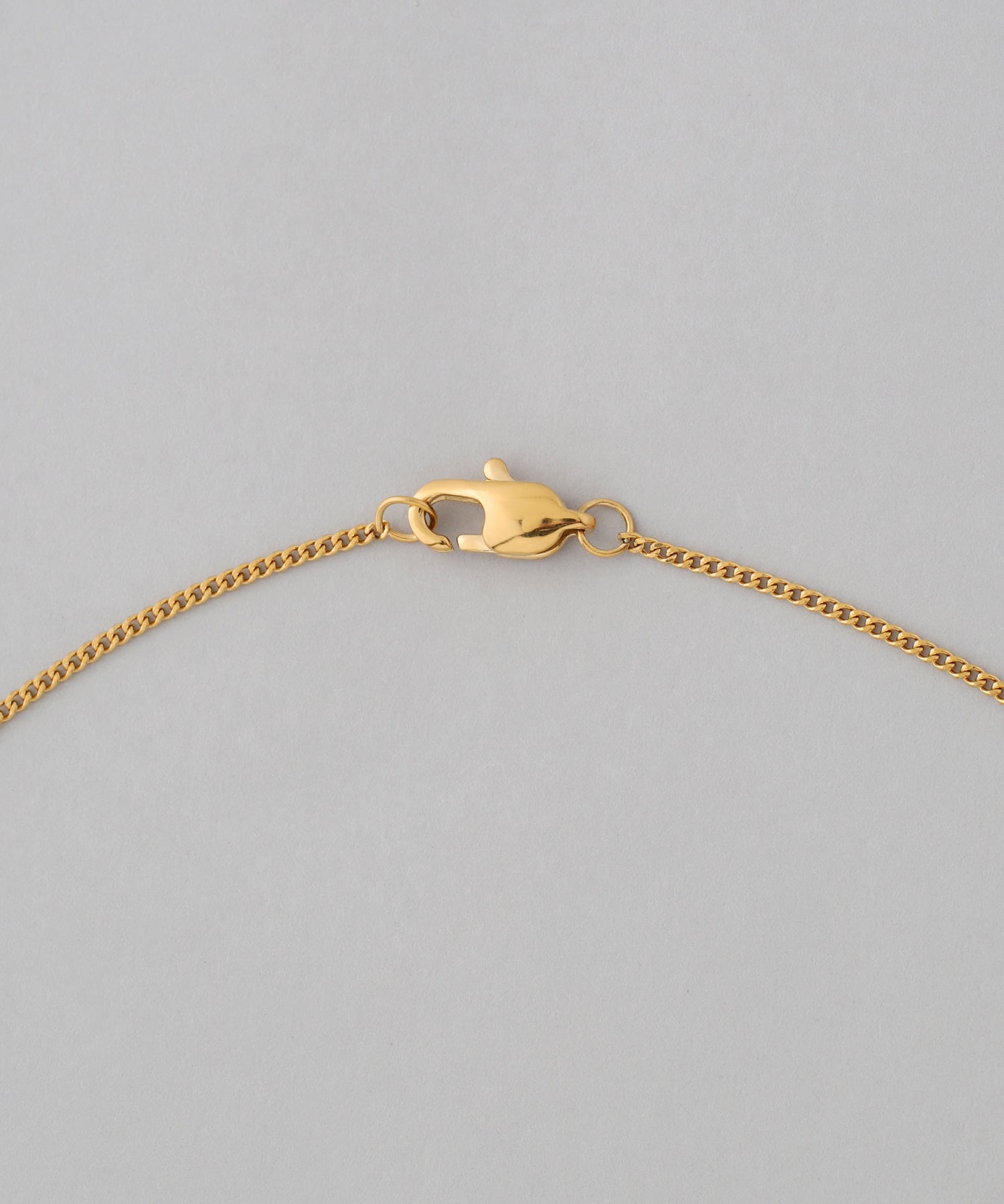 mimi33】【ステンレスIP】チェーンネックレス[Basic]｜アネモネ