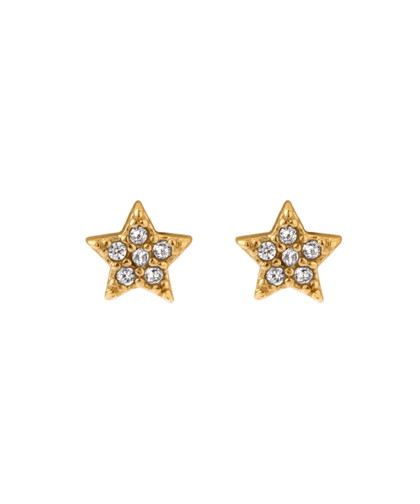 【ステンレス】ビジュースターピアス