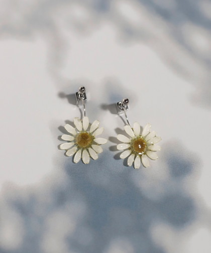 【Little Witch×mimi33】マトリカリアピアス《数量限定》